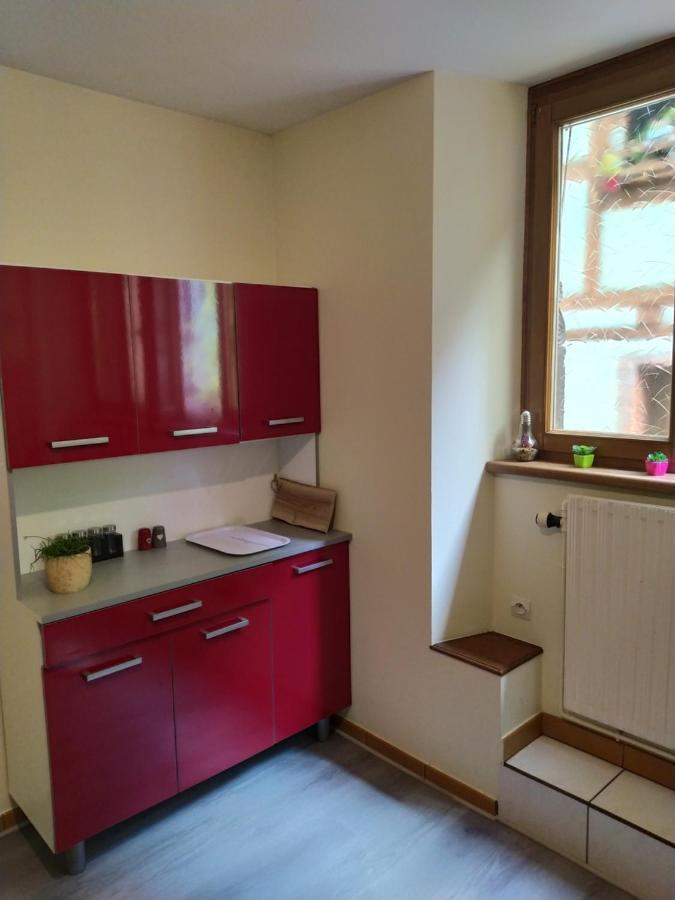 Chey Mybam, Agreable Maison Au Centre De Selestat Βίλα Εξωτερικό φωτογραφία