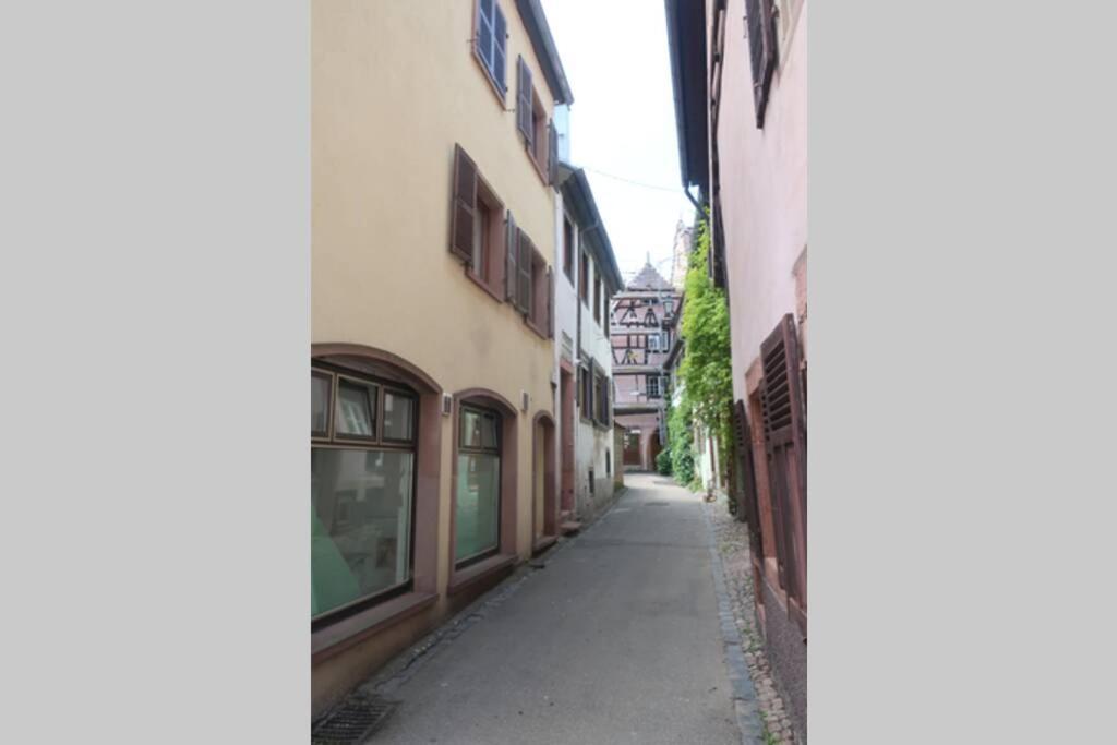 Chey Mybam, Agreable Maison Au Centre De Selestat Βίλα Εξωτερικό φωτογραφία