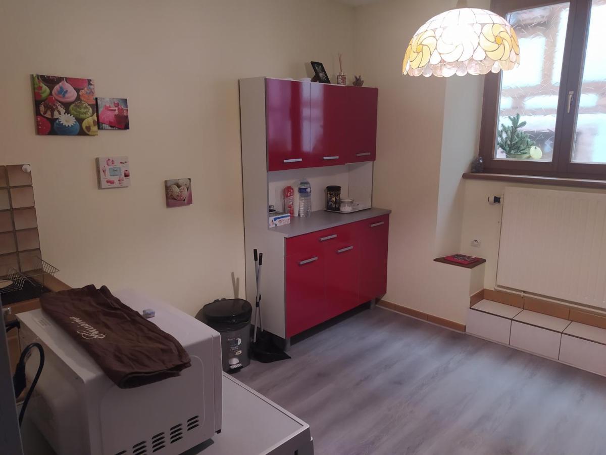 Chey Mybam, Agreable Maison Au Centre De Selestat Βίλα Εξωτερικό φωτογραφία