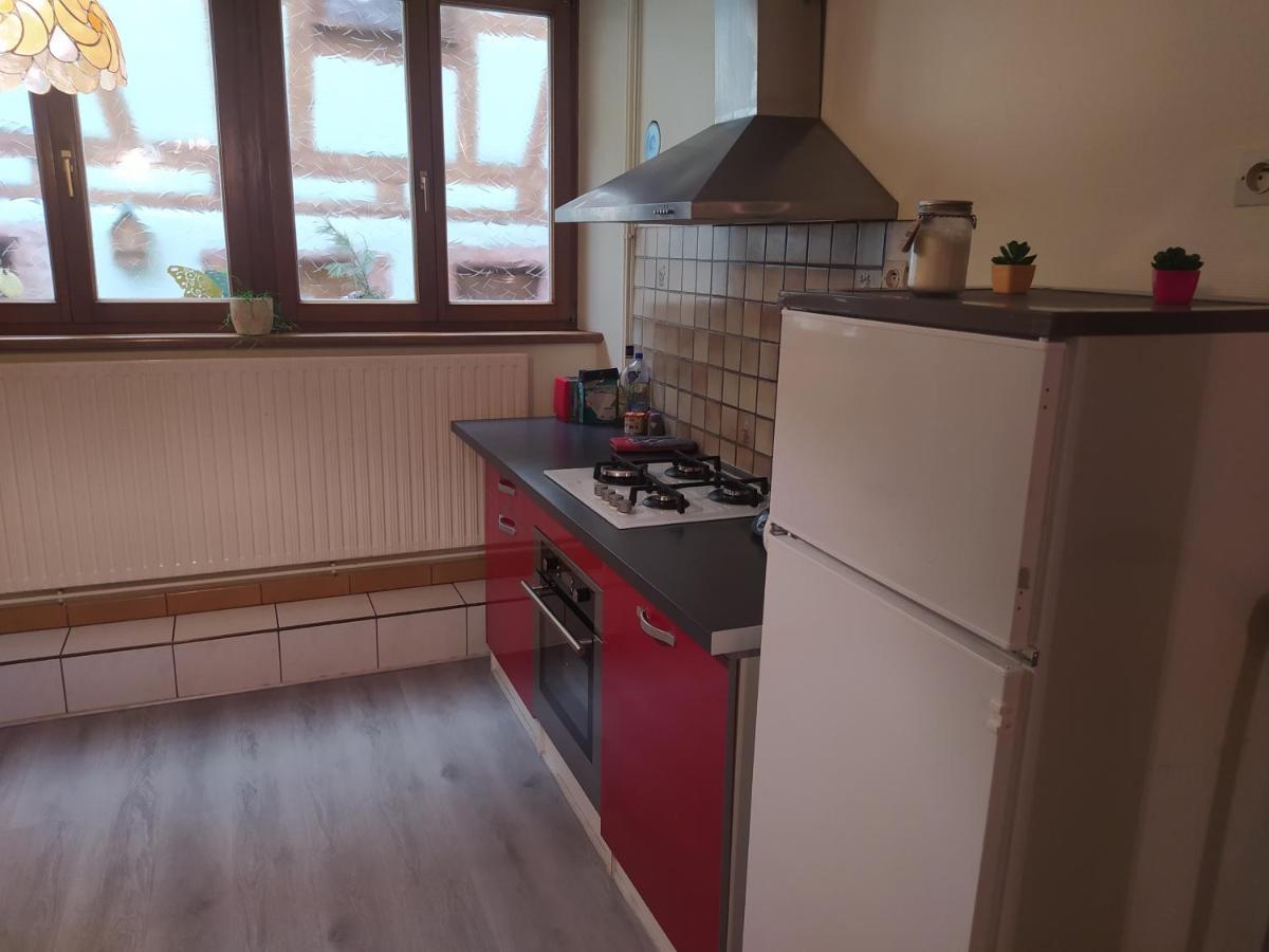 Chey Mybam, Agreable Maison Au Centre De Selestat Βίλα Εξωτερικό φωτογραφία